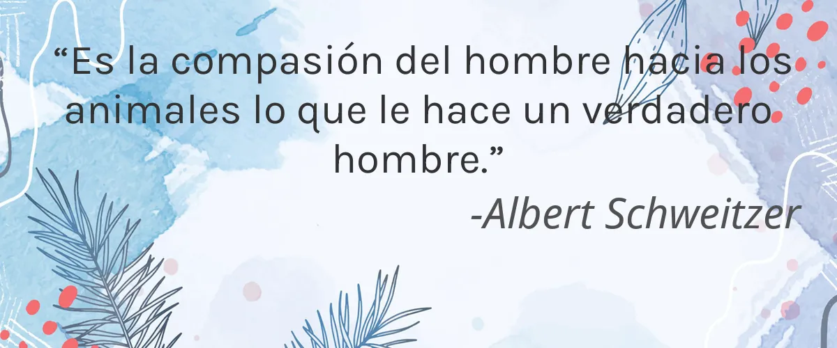 NATIVEG 4 Cruelty Free NATIVEG cita-Albert Schweitzer