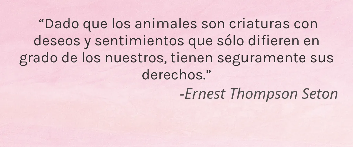 NATURAL BY NATURE OILS 4 Cruelty Free NATURAL BY NATURE OILS cita-Ernest Thompson Seton