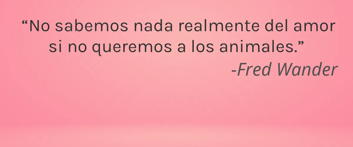 Natural Ingredients Australia 4 Cruelty Free Natural Ingredients Australia cita-Fred Wander