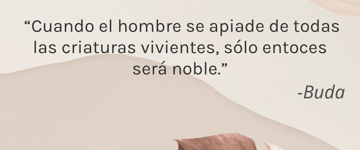 NATURTREU 4 Cruelty Free NATURTREU cita-Buda