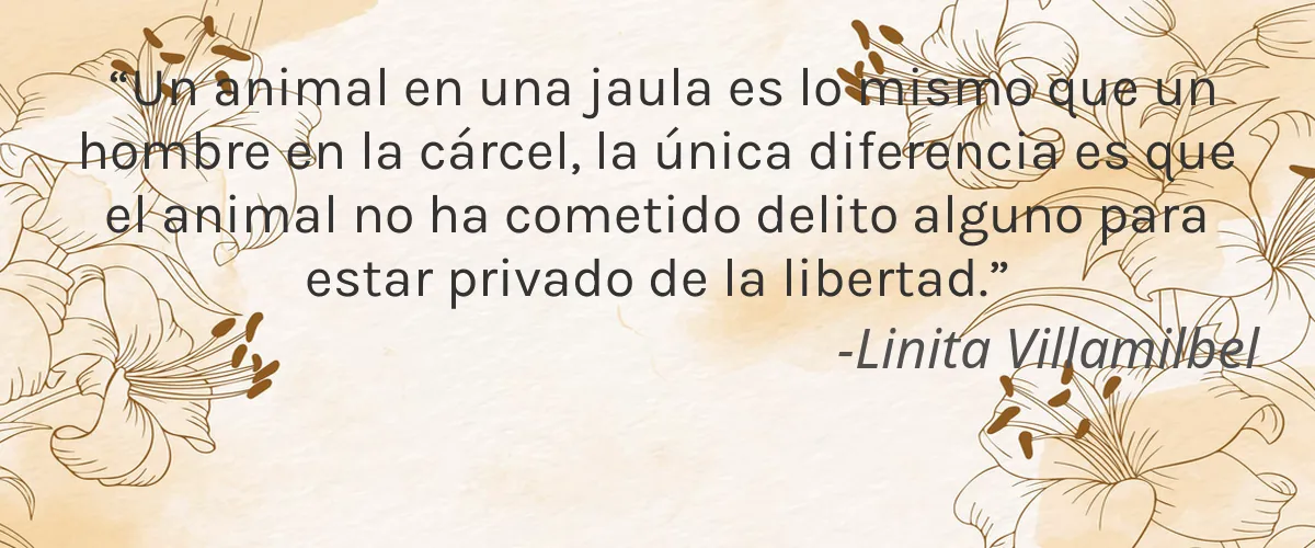 NeemAura Naturals 4 Cruelty Free NeemAura Naturals cita-Linita Villamilbel