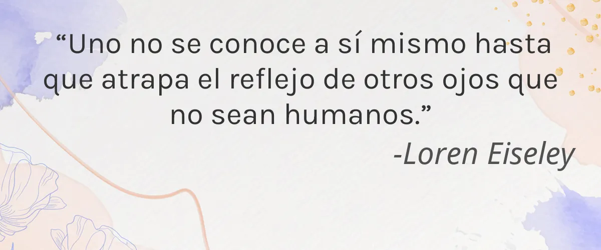 Neemli Naturals 4 Cruelty Free Neemli Naturals cita-Loren Eiseley