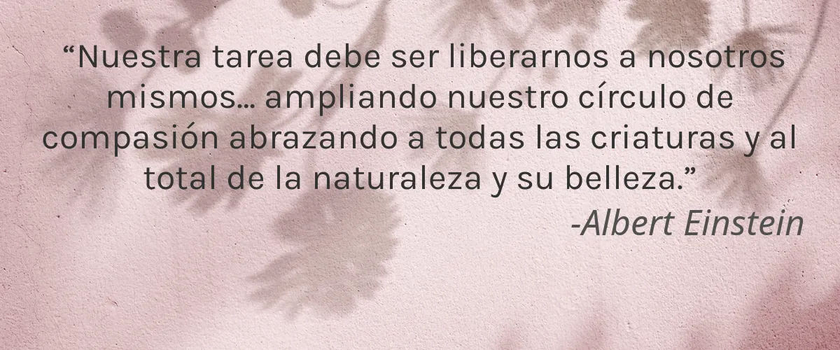 Nerea Skincare 4 Cruelty Free Nerea Skincare cita-Albert Einstein
