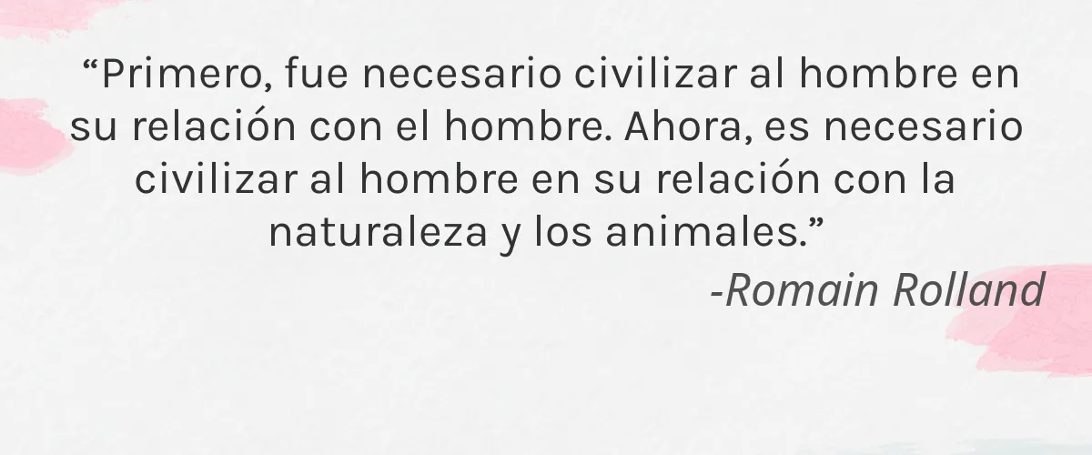 NeuEve 4 Cruelty Free NeuEve cita-Romain Rolland
