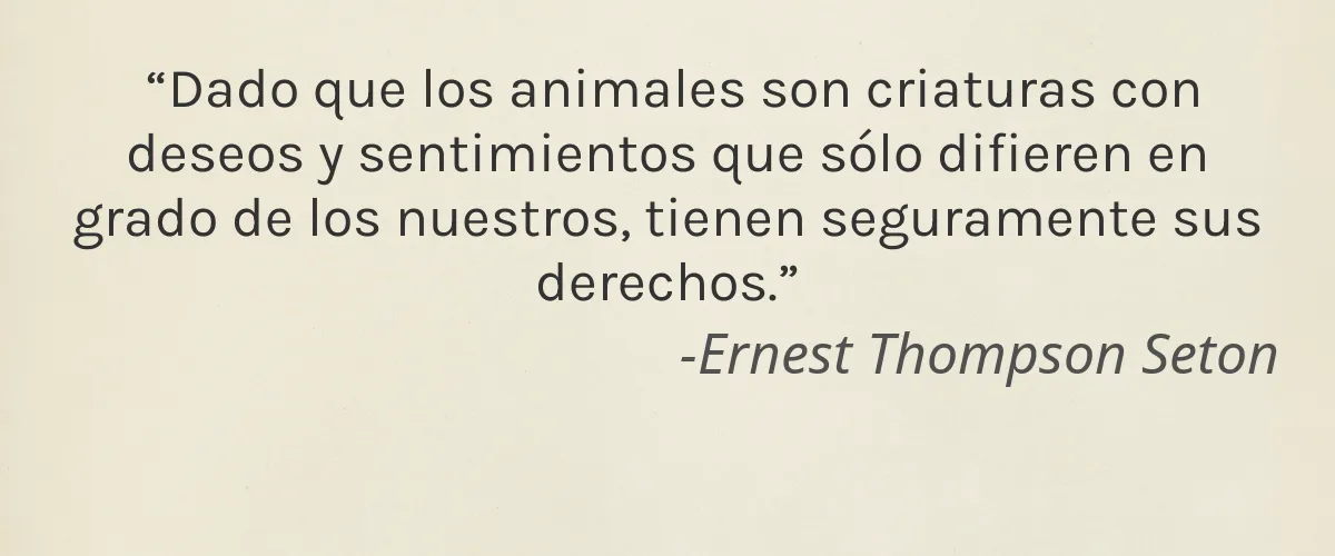 Nexcare (3M) 8 Cruelty Free Nexcare (3M) cita-Ernest Thompson Seton