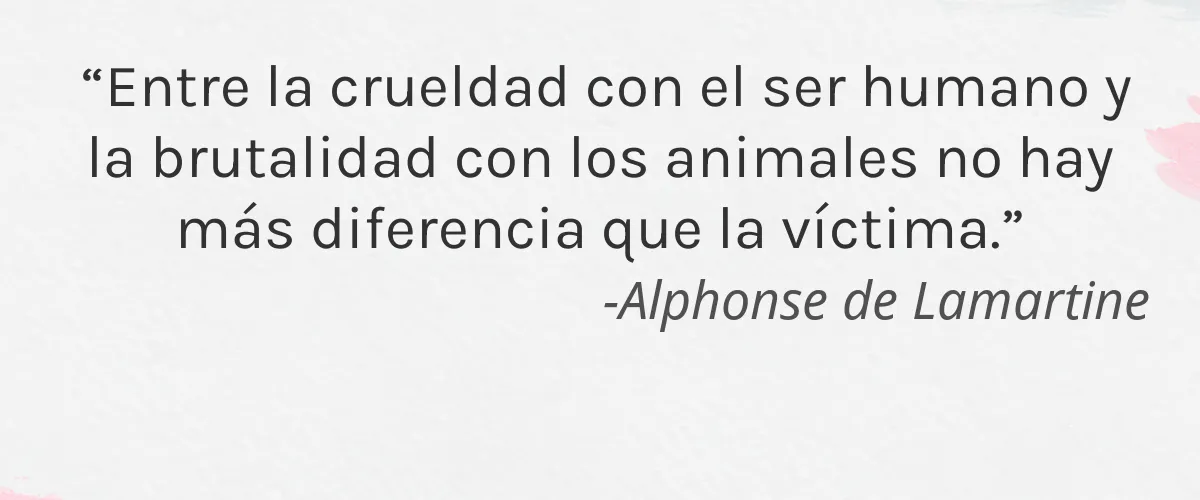 Cruelty Free Nino Nana cita-Alphonse de Lamartine