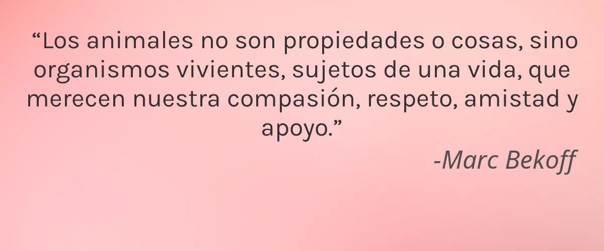 NIUCOCO 4 Cruelty Free NIUCOCO cita-Marc Bekoff