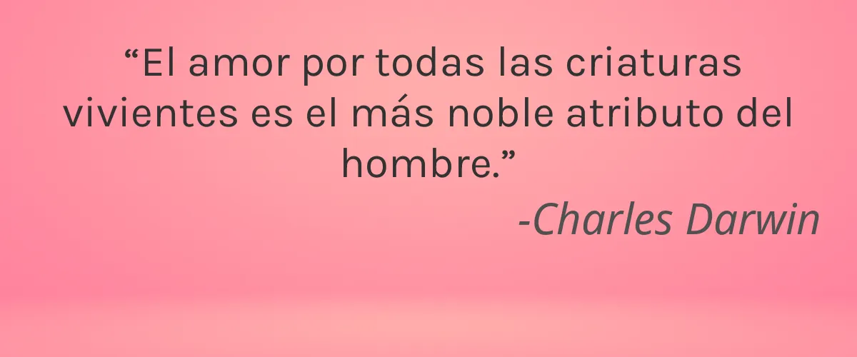 No Pongt 4 Cruelty Free No Pongt cita-Charles Darwin