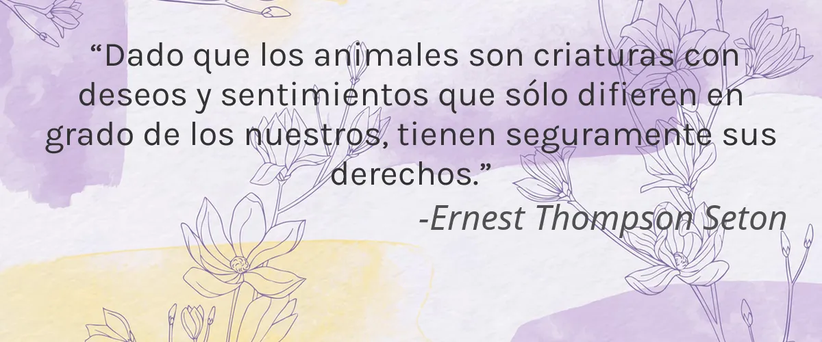 No, Thank You 4 Cruelty Free No, Thank You cita-Ernest Thompson Seton
