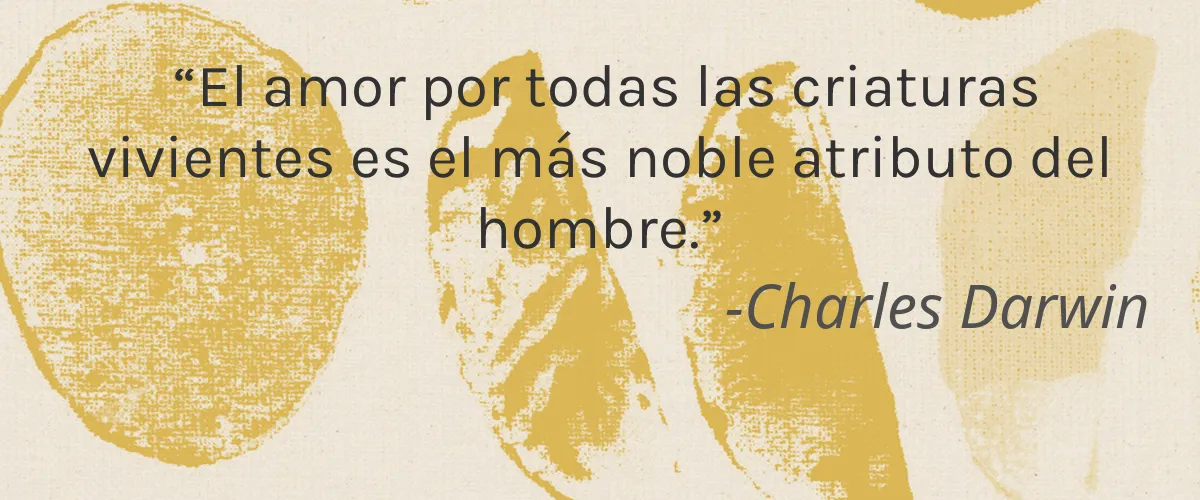 Nooni 5 Cruelty Free Nooni cita-Charles Darwin