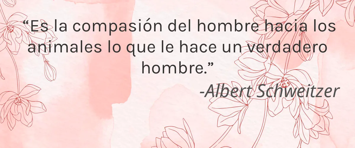 NOUGHTY 4 Cruelty Free NOUGHTY cita-Albert Schweitzer