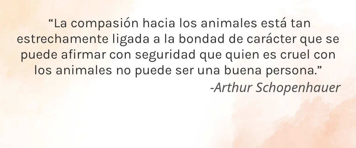 Novel Skincare 4 Cruelty Free Novel Skincare cita-Arthur Schopenhauer