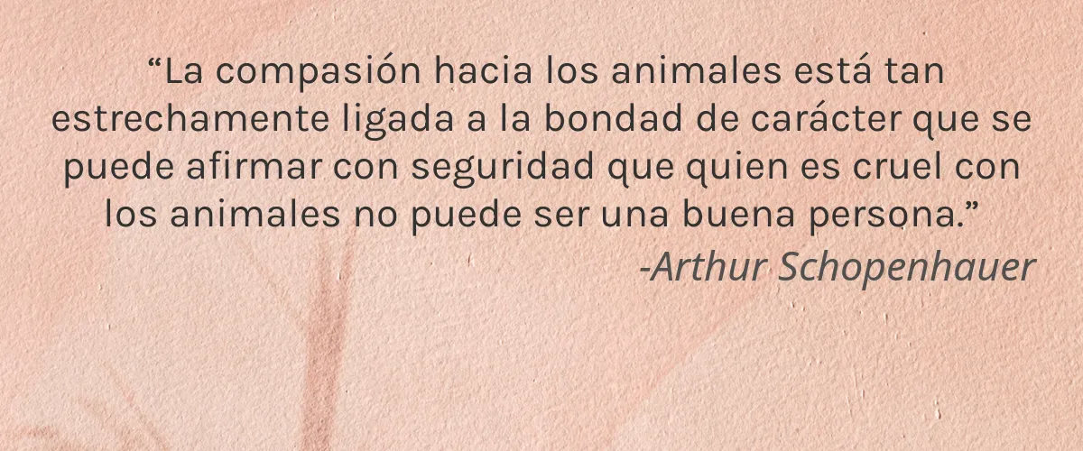 Cruelty Free NOW Solutions cita-Arthur Schopenhauer