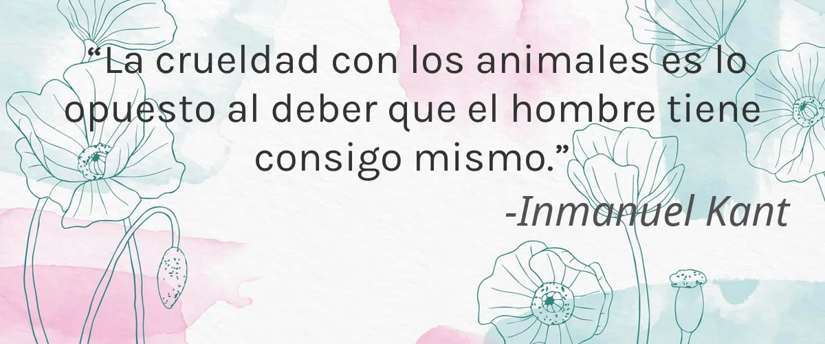 Cruelty Free Nubar cita-Inmanuel Kant