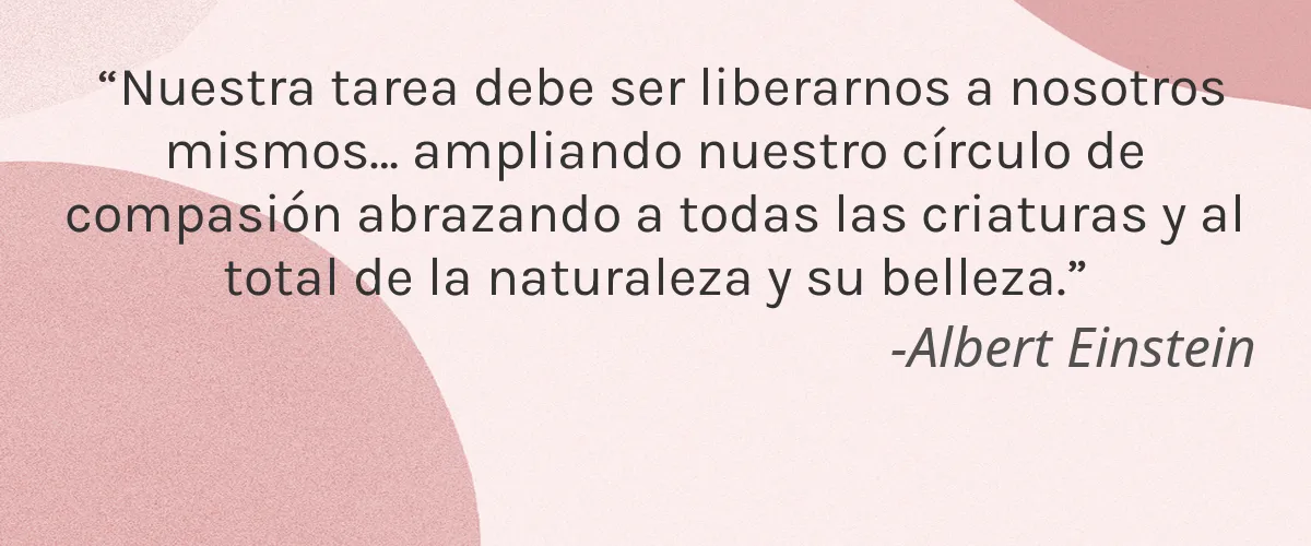 Nucifera Body LLC 4 Cruelty Free Nucifera Body LLC cita-Albert Einstein