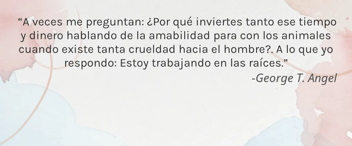 Nude Skincare 4 Cruelty Free Nude Skincare cita-George T. Angel