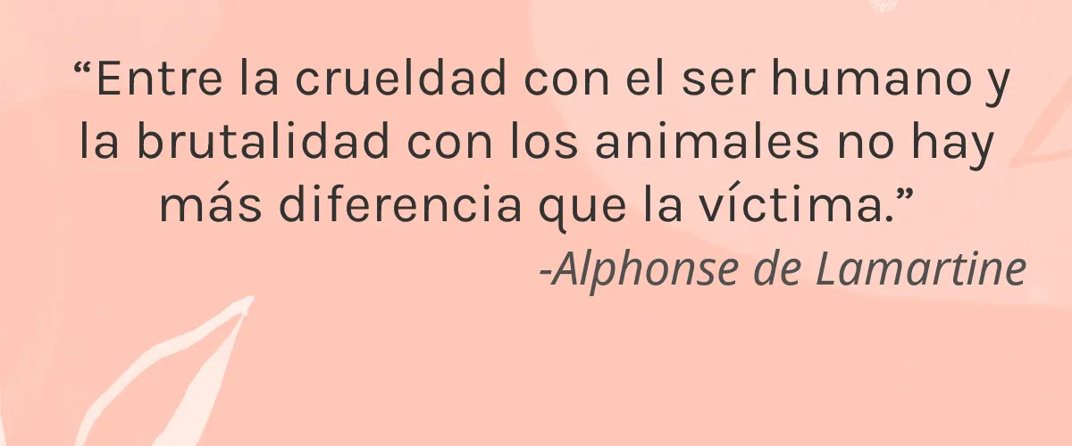 Nurst 4 Cruelty Free Nurst cita-Alphonse de Lamartine
