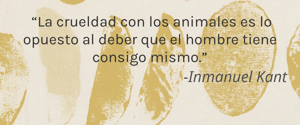 Cruelty Free Oh My Garden! cita-Inmanuel Kant