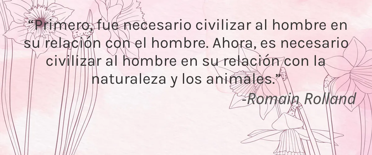 Olay 4 Cruelty Free Olay cita-Romain Rolland