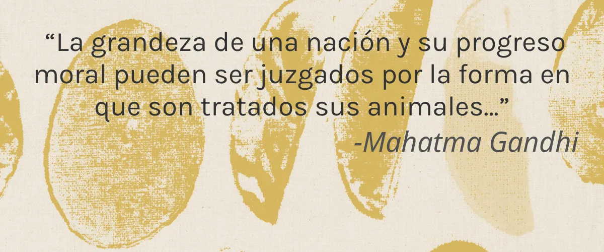 One Seed 4 Cruelty Free One Seed cita-Mahatma Gandhi