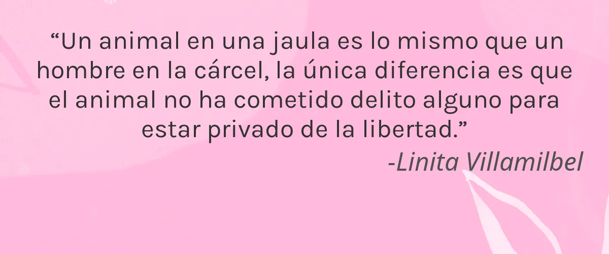 One Therapy 4 Cruelty Free One Therapy cita-Linita Villamilbel