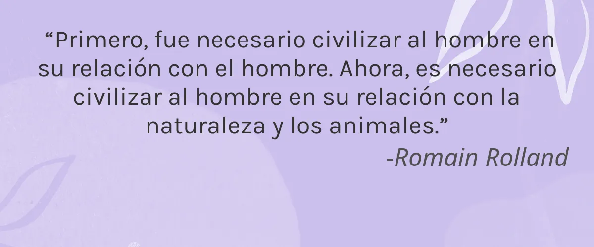 Onesta Organics, Inc. 4 Cruelty Free Onesta Organics, Inc. cita-Romain Rolland