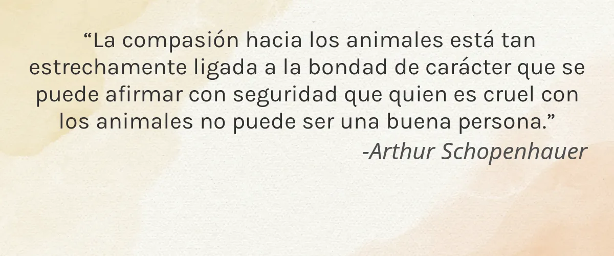 Onurth Skincare 4 Cruelty Free Onurth Skincare cita-Arthur Schopenhauer