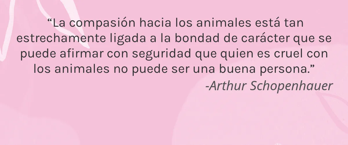 OPV Beauty 4 Cruelty Free OPV Beauty cita-Arthur Schopenhauer