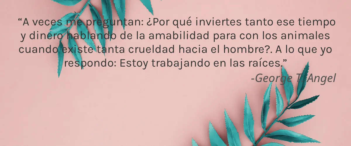 ORGANii 4 Cruelty Free ORGANii cita-George T. Angel