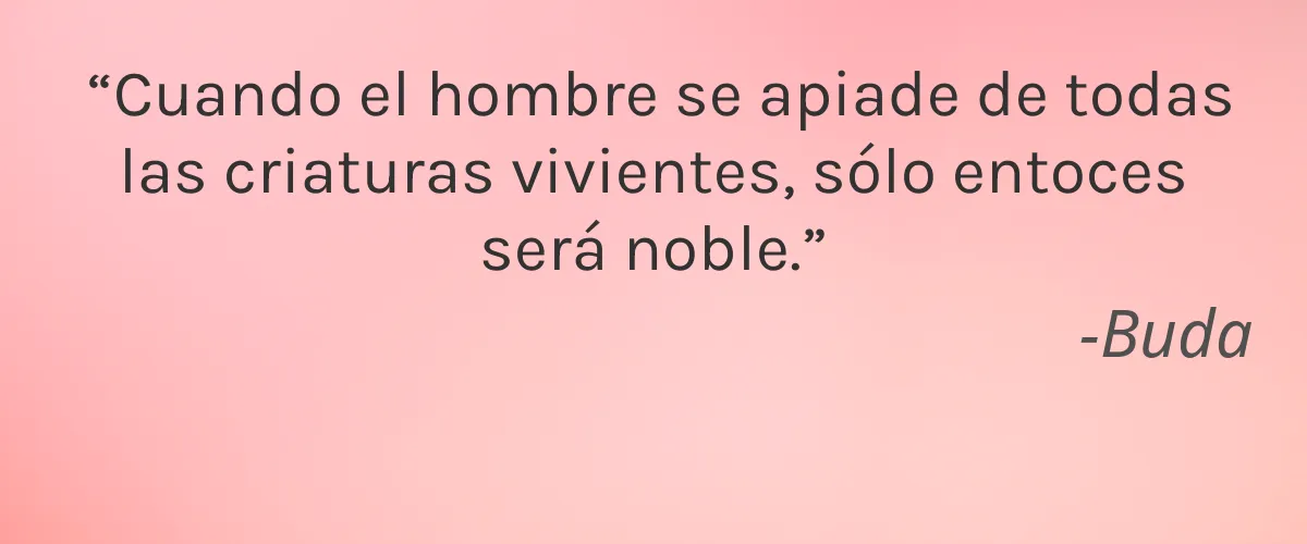 Orglamix 4 Cruelty Free Orglamix cita-Buda