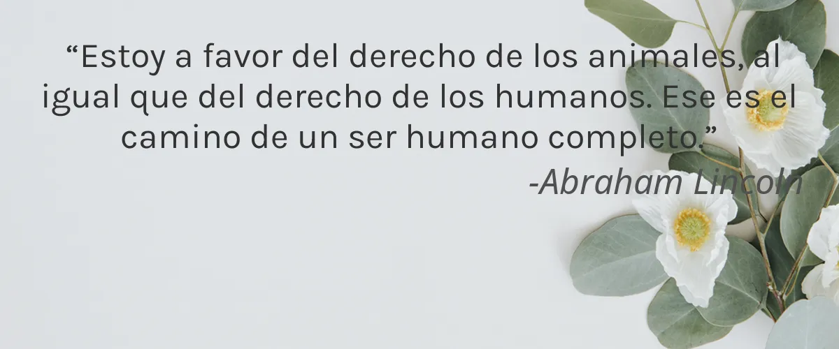 Original Moxie 4 Cruelty Free Original Moxie cita-Abraham Lincoln