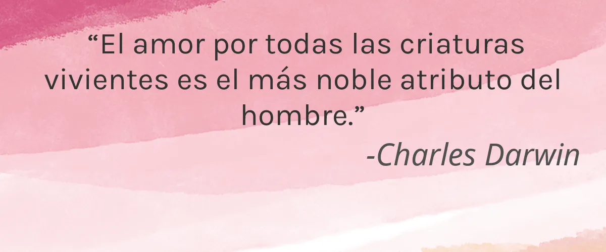 Cruelty Free Original Sprout cita-Charles Darwin