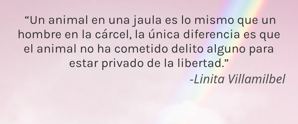 ORLY 4 Cruelty Free ORLY cita-Linita Villamilbel