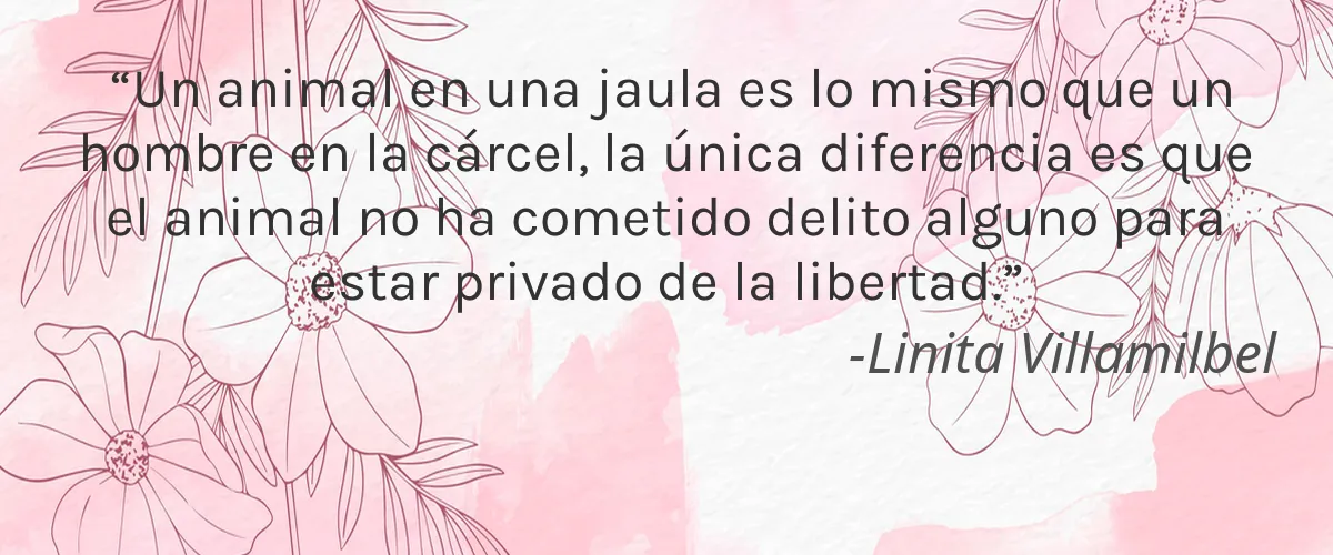 Oxygenetix 4 Cruelty Free Oxygenetix cita-Linita Villamilbel