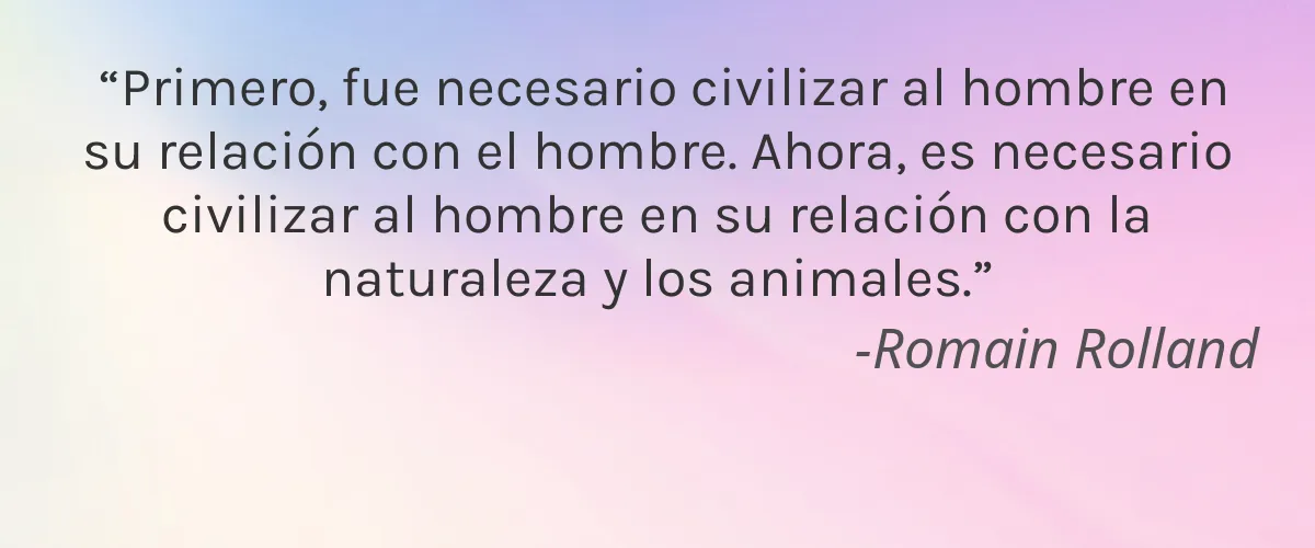 OYO Baby 4 Cruelty Free OYO Baby cita-Romain Rolland