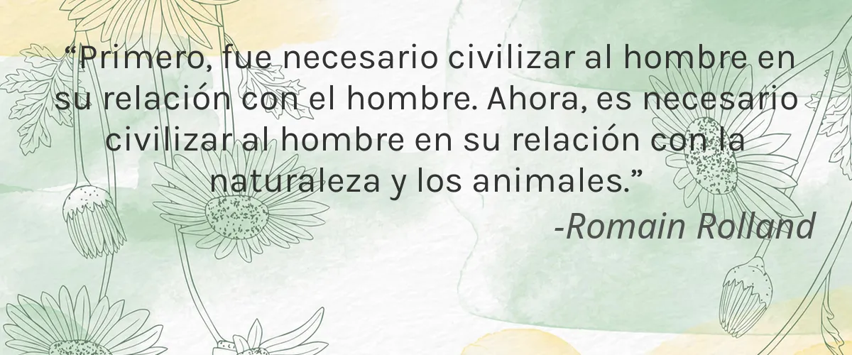PAAVANI Ayurveda 4 Cruelty Free PAAVANI Ayurveda cita-Romain Rolland