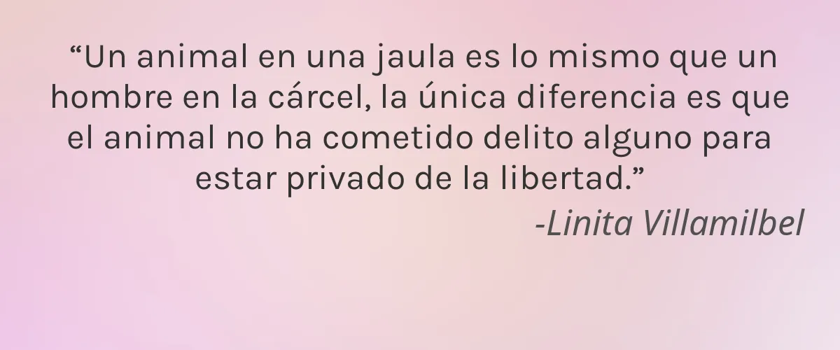 Pacha Soap Company 4 Cruelty Free Pacha Soap Company cita-Linita Villamilbel
