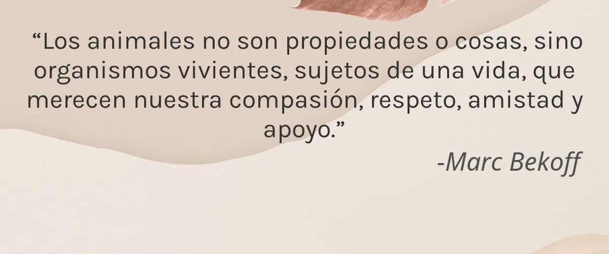 Pampers (Procter & Gamble) 8 Cruelty Free Pampers (Procter & Gamble) cita-Marc Bekoff