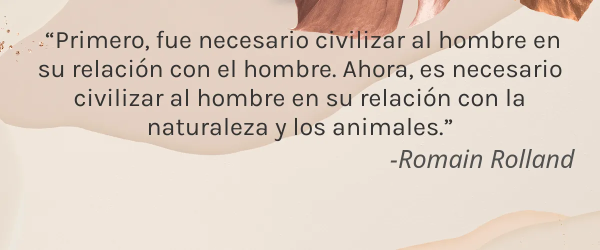 Cruelty Free Para-Sol Cosmetics cita-Romain Rolland