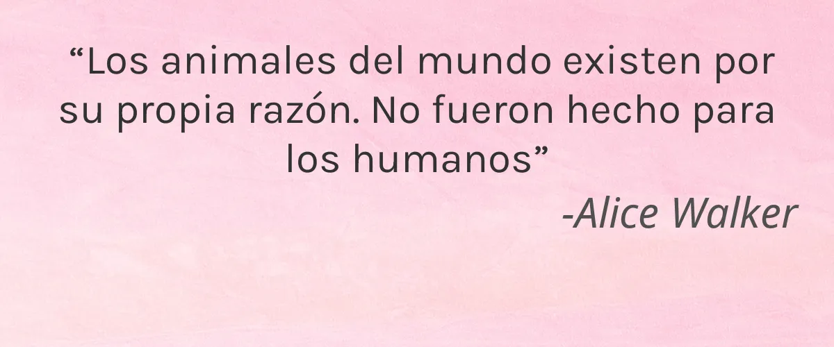 Parissa 4 Cruelty Free Parissa cita-Alice Walker