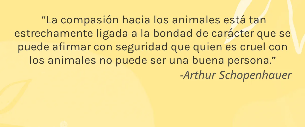 PDL Cosmetics 4 Cruelty Free PDL Cosmetics cita-Arthur Schopenhauer