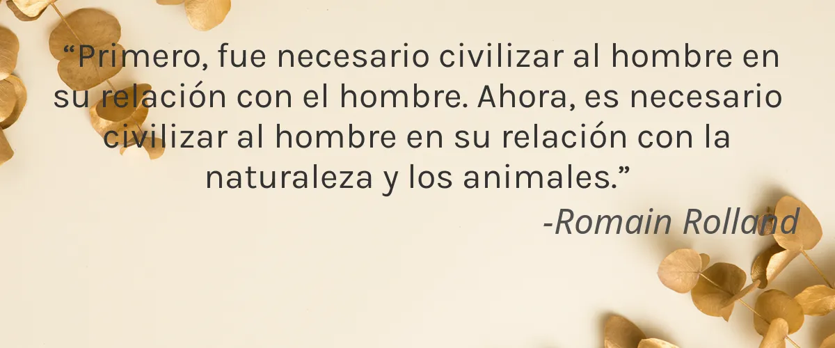 PEAU D’ANE 4 Cruelty Free PEAU DANE cita-Romain Rolland