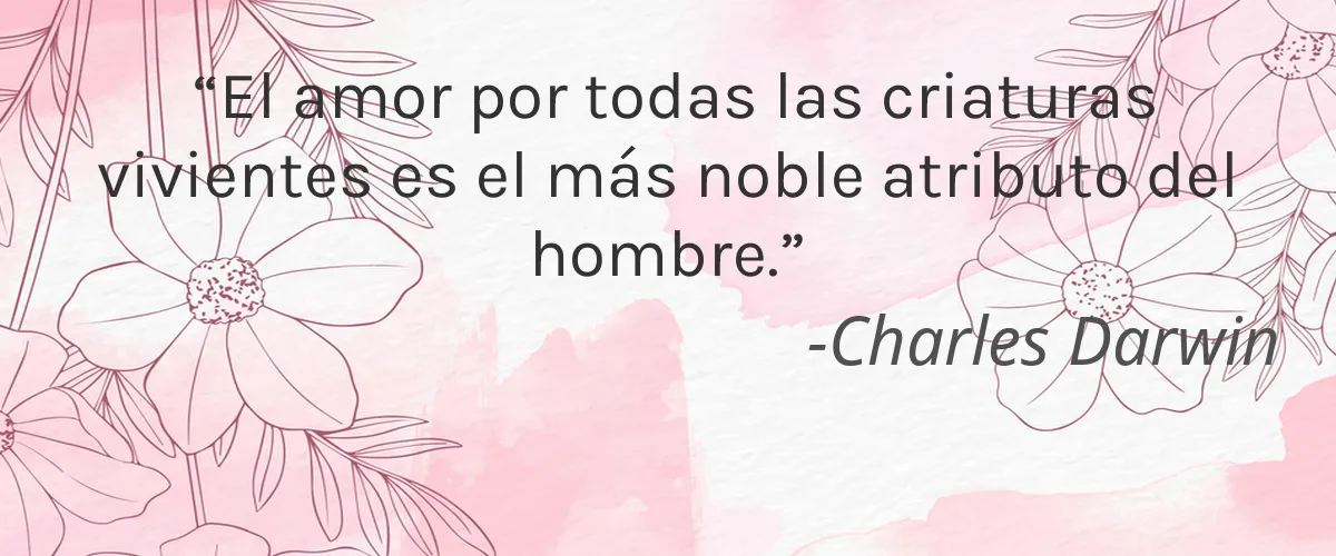 Per-fékt Beauty 4 Cruelty Free Per-fekt Beauty cita-Charles Darwin