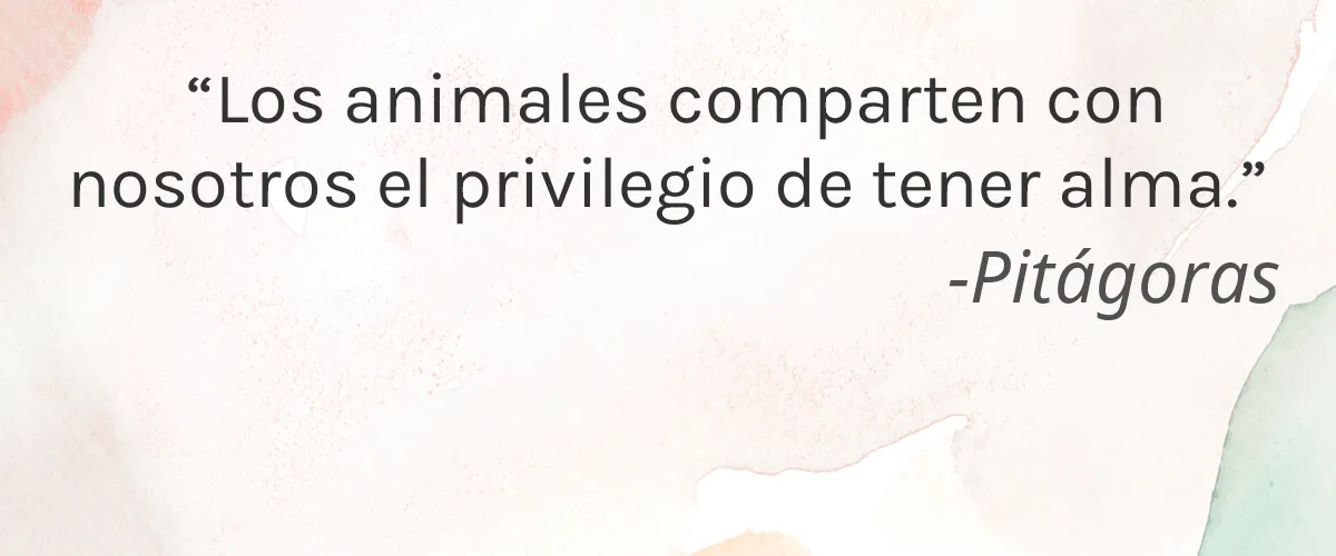 Pestle & Mortar 4 Cruelty Free Pestle & Mortar cita-Pitágoras