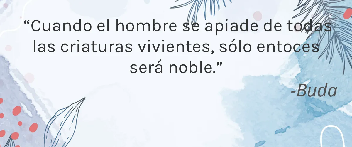 Pestlo 4 Cruelty Free Pestlo cita-Buda