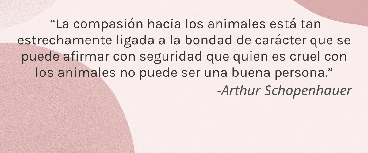 Phillip Adam 4 Cruelty Free Phillip Adam cita-Arthur Schopenhauer