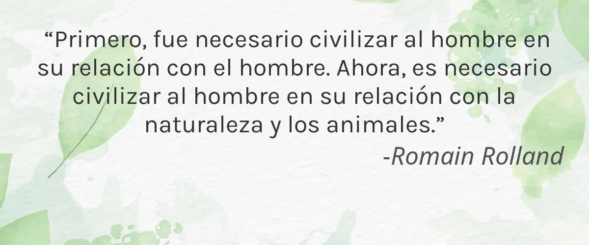 Physique (Procter & Gamble) 8 Cruelty Free Physique (Procter & Gamble) cita-Romain Rolland