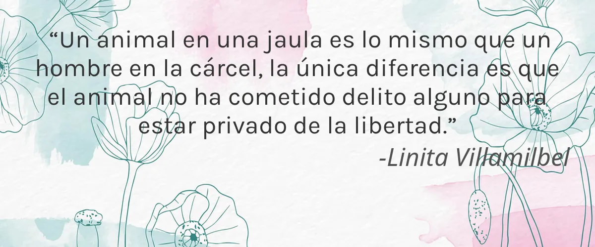 Cruelty Free Pittstown Soapworks cita-Linita Villamilbel