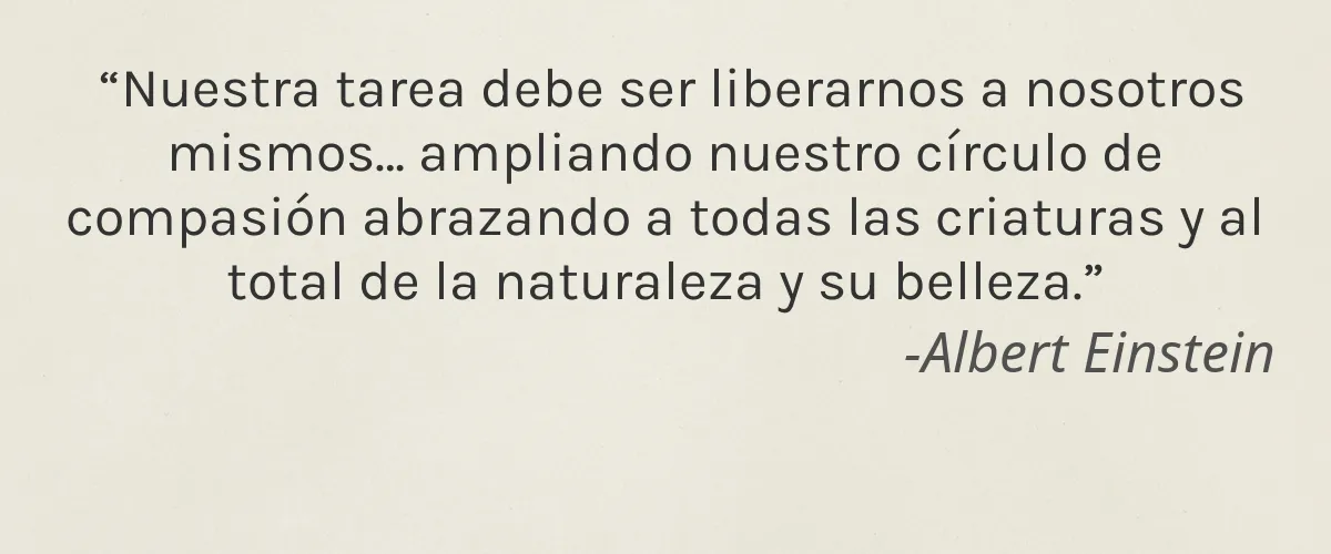 Planted 4 Cruelty Free Planted cita-Albert Einstein
