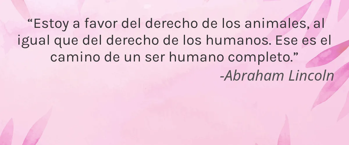 PLS Cosmetics 4 Cruelty Free PLS Cosmetics cita-Abraham Lincoln